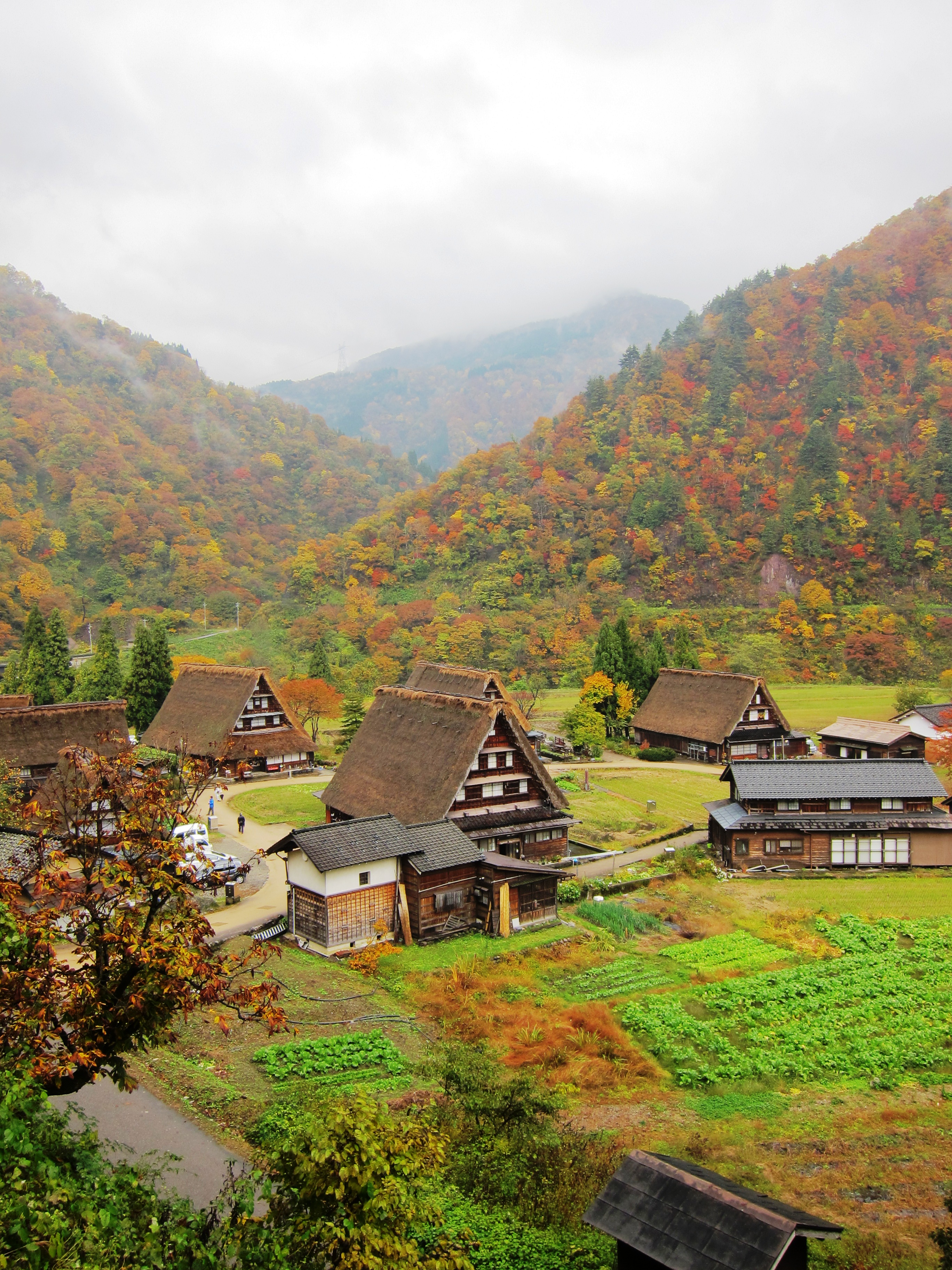 【2】A popular spot to go hunting for autumn leaves in Hietsuno